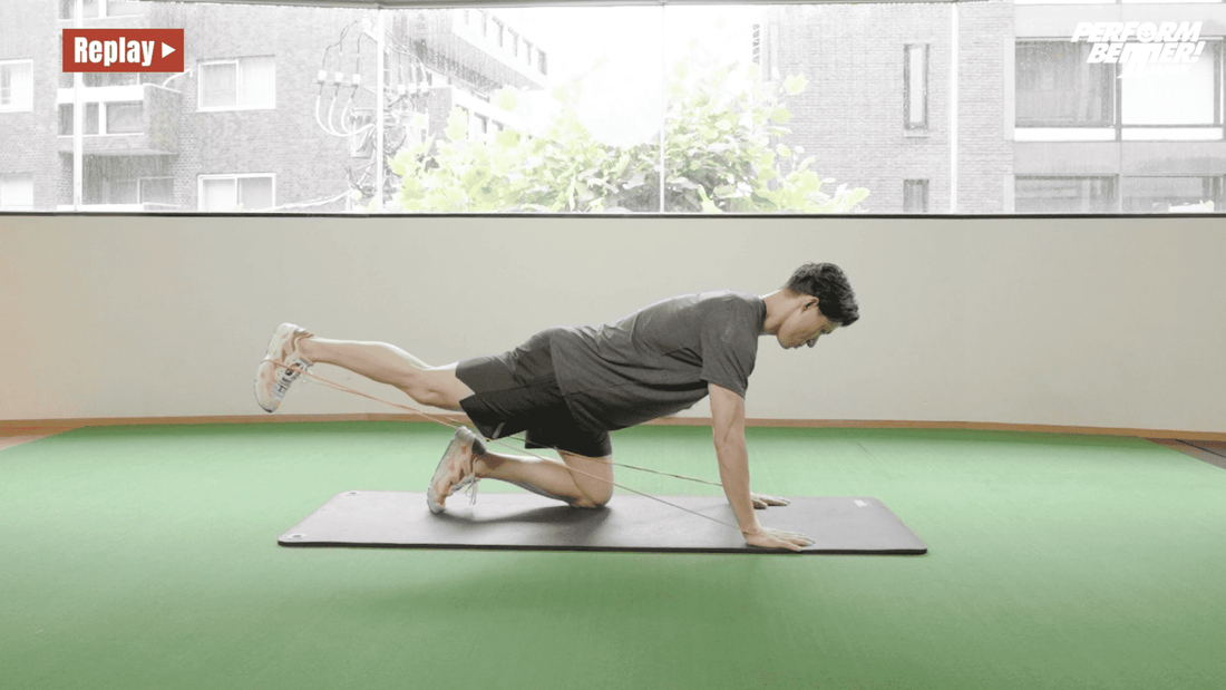 All Four Leg Extension